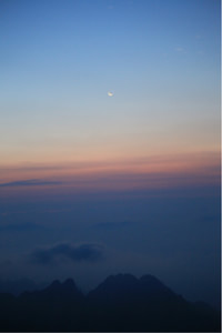 纵情篮球：谁能夺得胜利的宝座？