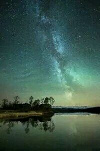 贝西克塔令人瞩目，实力强劲