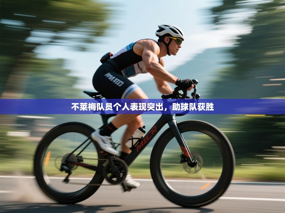 不莱梅队员个人表现突出,助球队获胜 第1张