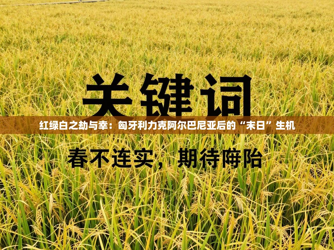 红绿白之劫与幸：匈牙利力克阿尔巴尼亚后的“末日”生机  第2张