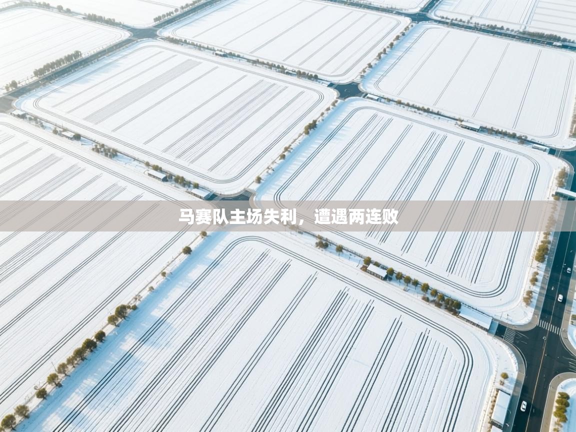 马赛队主场失利,遭遇两连败 第2张