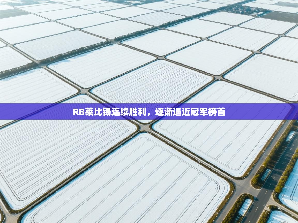 RB莱比锡连续胜利,逐渐逼近冠军榜首 第1张