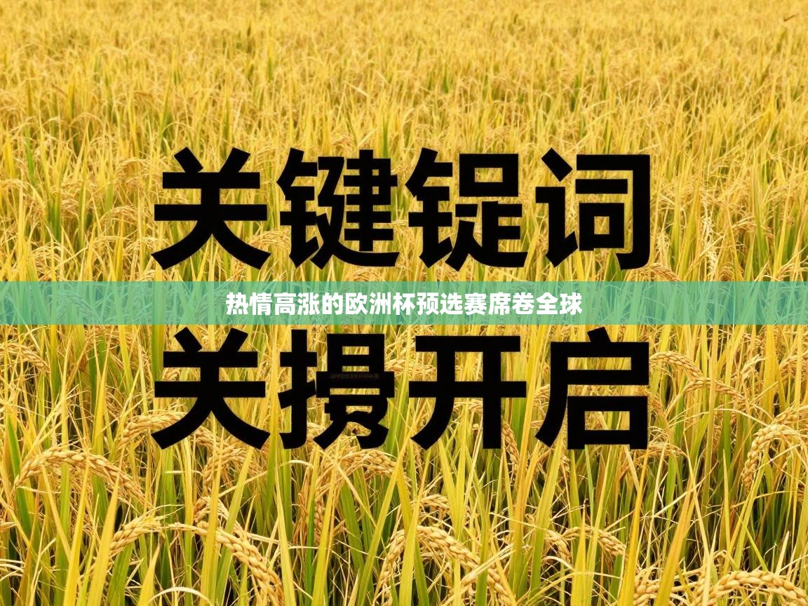 热情高涨的欧洲杯预选赛席卷全球  第1张