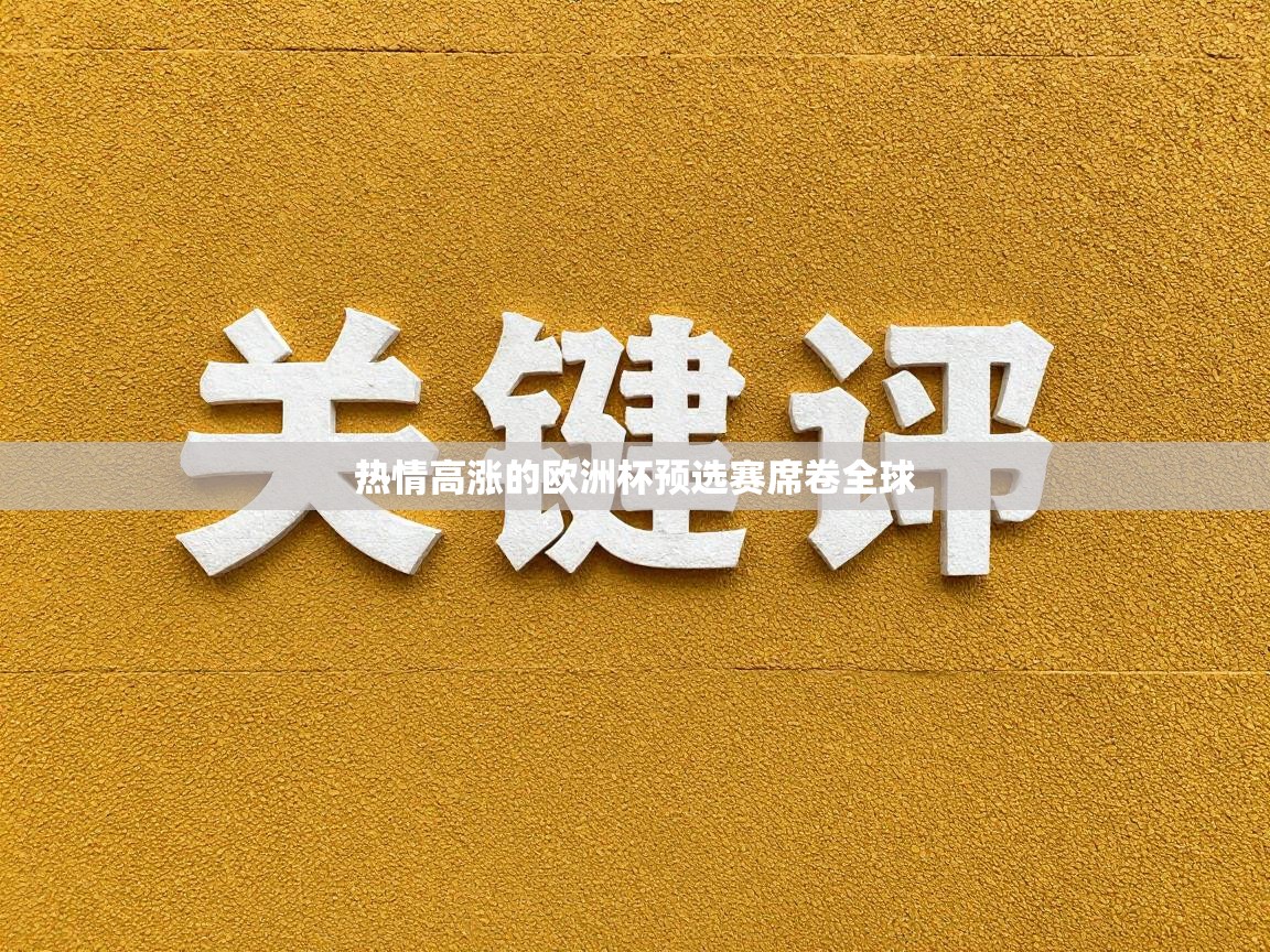 热情高涨的欧洲杯预选赛席卷全球  第2张