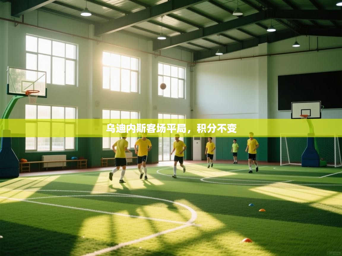 乌迪内斯客场平局,积分不变 第1张